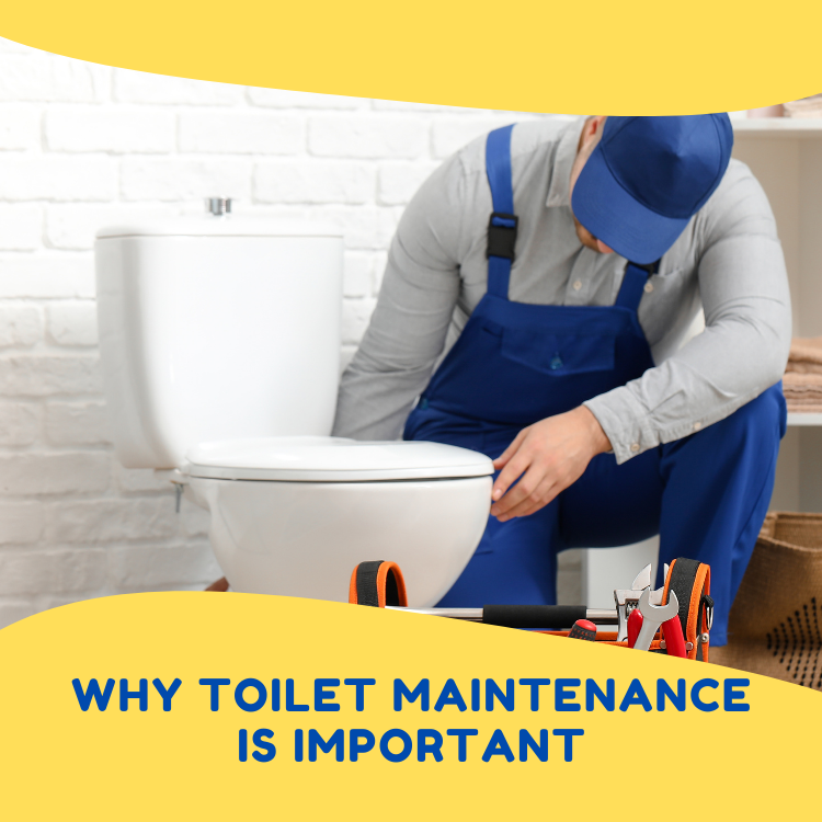 Why-Toilet-Maintenance-is-Important